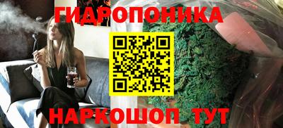 сатива Лесосибирск