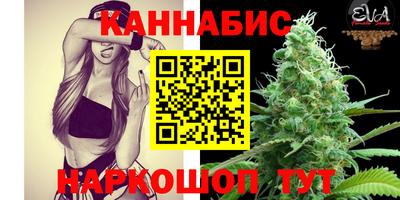 сатива Лесосибирск