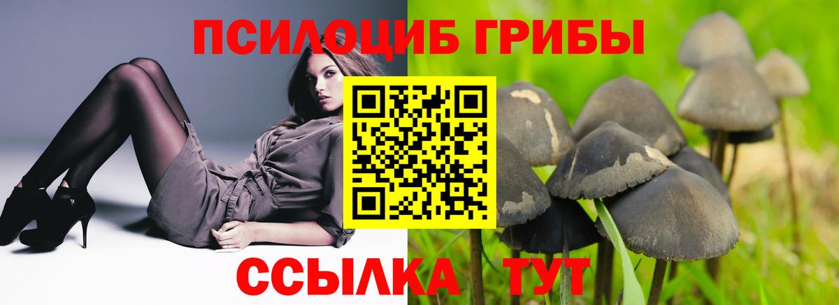 Псилоцибиновые грибы MAGIC MUSHROOMS Грозный